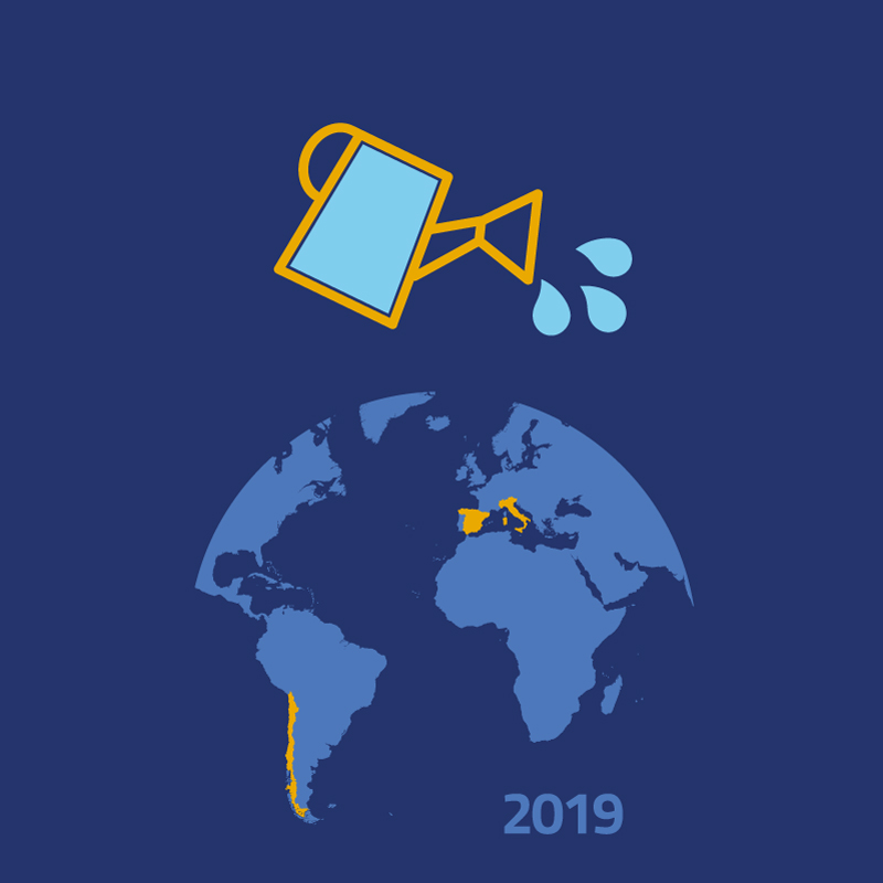 Annual Report 2019
