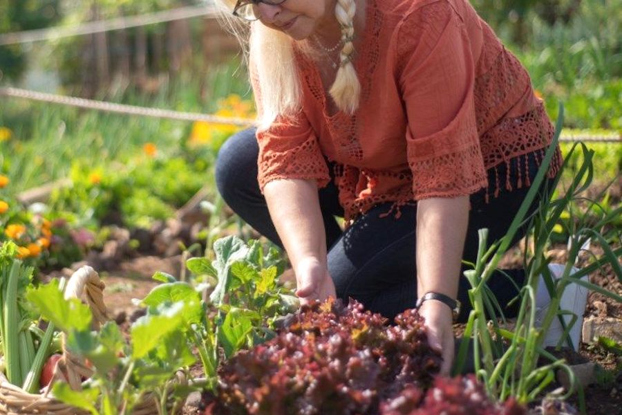 Coltiviamo Agricoltura Sociale
